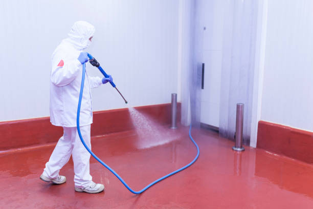 Playground Equipment Cleaning in Scotts Valley, CA